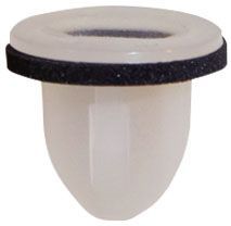 قاعدة اسطب خلفي