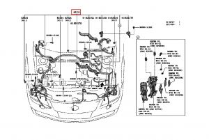 ضفيرة داخلية
