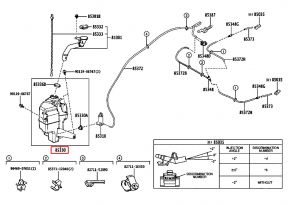 قربة ماء المساحات