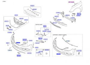 جلدة صدام أمامي