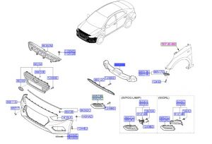 حشوة صدام امامي