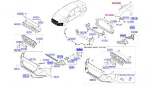 جلدة هواية أمامية يمين
