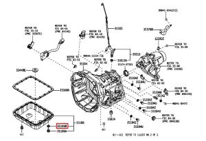 وجه صرة تصريف