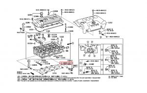 جلدة بلف التايمن