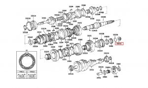 صامولة مجموعة التروس الخلفية