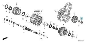 صامولة (24 ملم)
