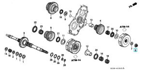 صامولة (21 ملم)
