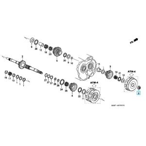 صامولة (19 ملم)