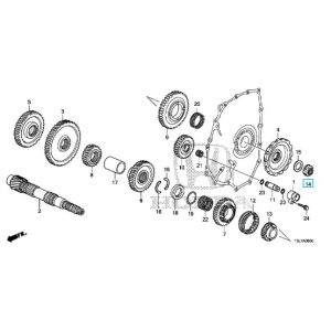 صامولة (24 ملم)