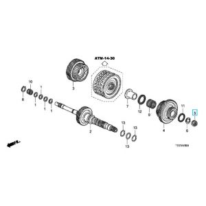 صامولة (26 ملم)