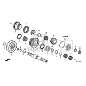 صامولة (24 ملم)