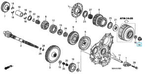 صامولة (24 ملم)