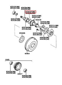 جلدة عكس خلفي