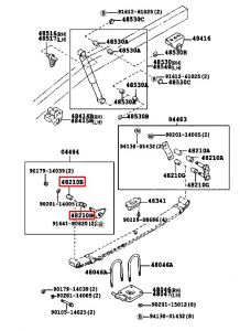 جلدة سسته خلفية