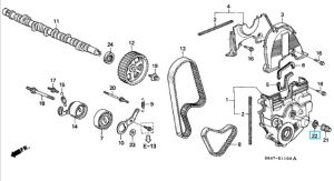 جلدة مسمار شداد السير