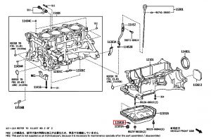 وجه صرة تصريف