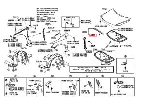 كلبس غطاء الرديتر