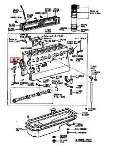 بلف زيت ترس التايمن