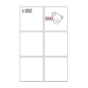 سير الدينمو و المروحة