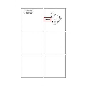 سير الدينمو و المروحة