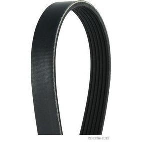 سير الدينمو و المروحة