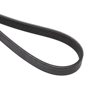 سير الدينمو و المروحة