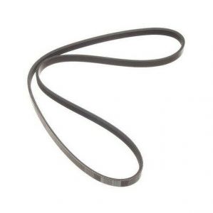 سير الدينمو و المروحة