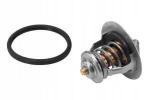 ثيرموستات (بلف حرارة)