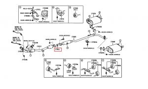 وجة ماصورة الشكمان