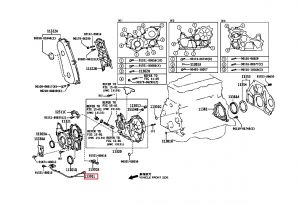 حساس الكرنك رقم 3