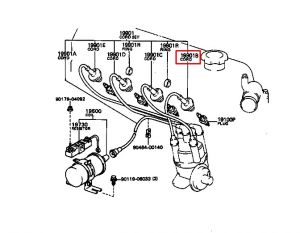 سلك كويل أو ديلكو