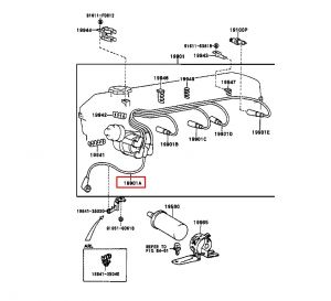 سلك كويل أو ديلكو