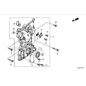 صوفة زيت 43X58X7 (NOK)
