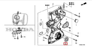 صوفة زيت 43X58X7 (FREUDENBERG-NOK)