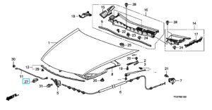 قطعة تثبيت عصاية الكبوت