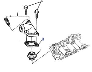 وجه كوع ماء