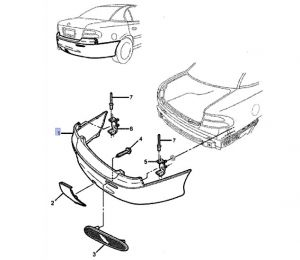 جلدة صدام خلفي