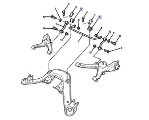 جلدة عامود التوازن