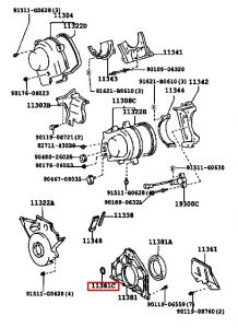جلدة جرم قاعدة الصوفة
