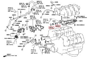 جلدة كوع ماء