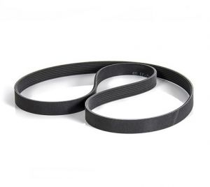 سير الدينمو و المروحة