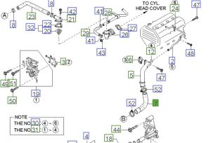 خرطوم ماء الرديتر سفلي