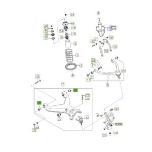 جلدة مقص سفلي