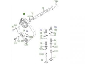 سير التايمن