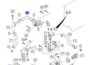 خرطوم ماء الرديتر سفلي
