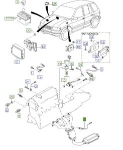 حساس الاكسجين