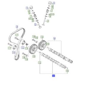 عامود كام الإكزوست (التايمن)