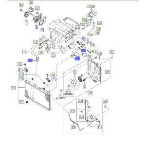 كلبس تثبيت الخرطوم
