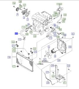خرطوم رديتر ماء سفلي