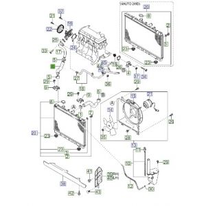 خرطوم رديتر ماء سفلي